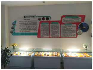 GA黄金甲·(中国区)官方网站