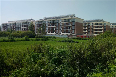 GA黄金甲·(中国区)官方网站