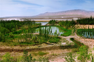 GA黄金甲·(中国区)官方网站