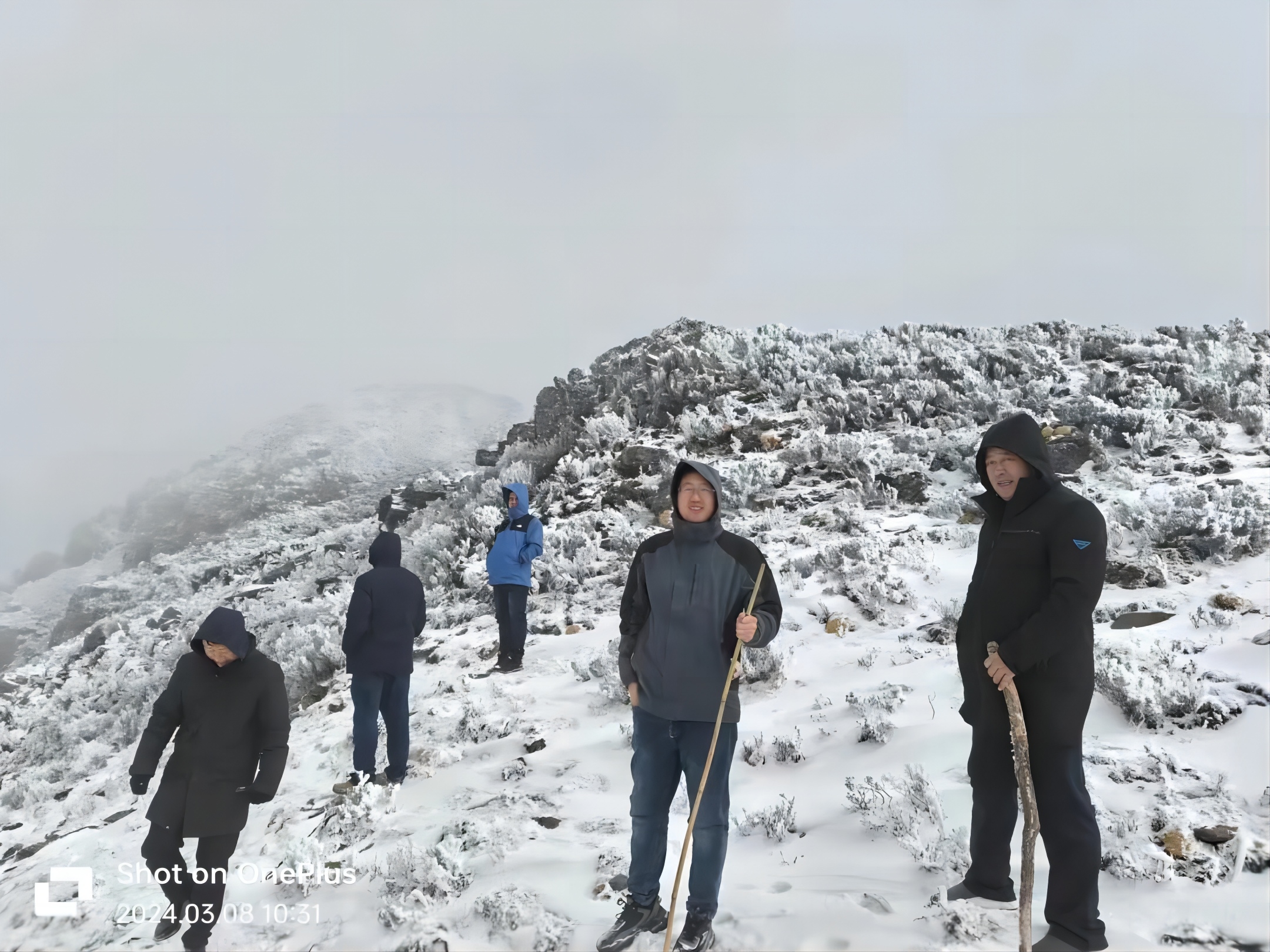 傲雪凌霜，只为佑字”