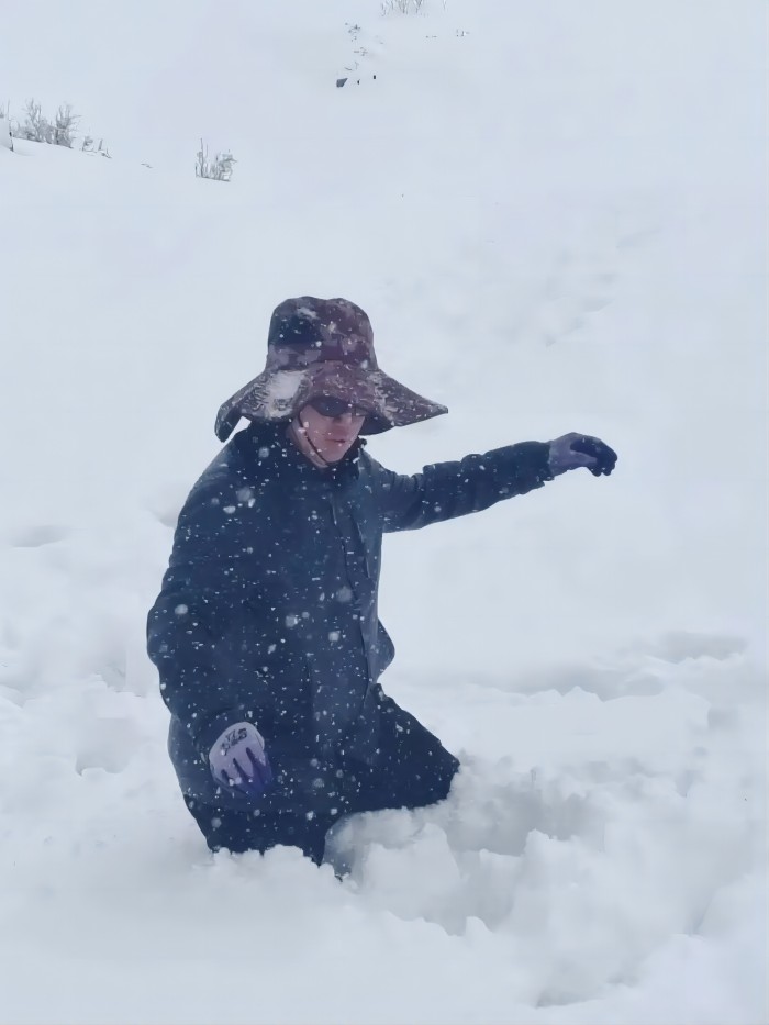 GA黄金甲·(中国区)官方网站