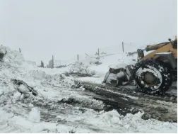 GA黄金甲·(中国区)官方网站