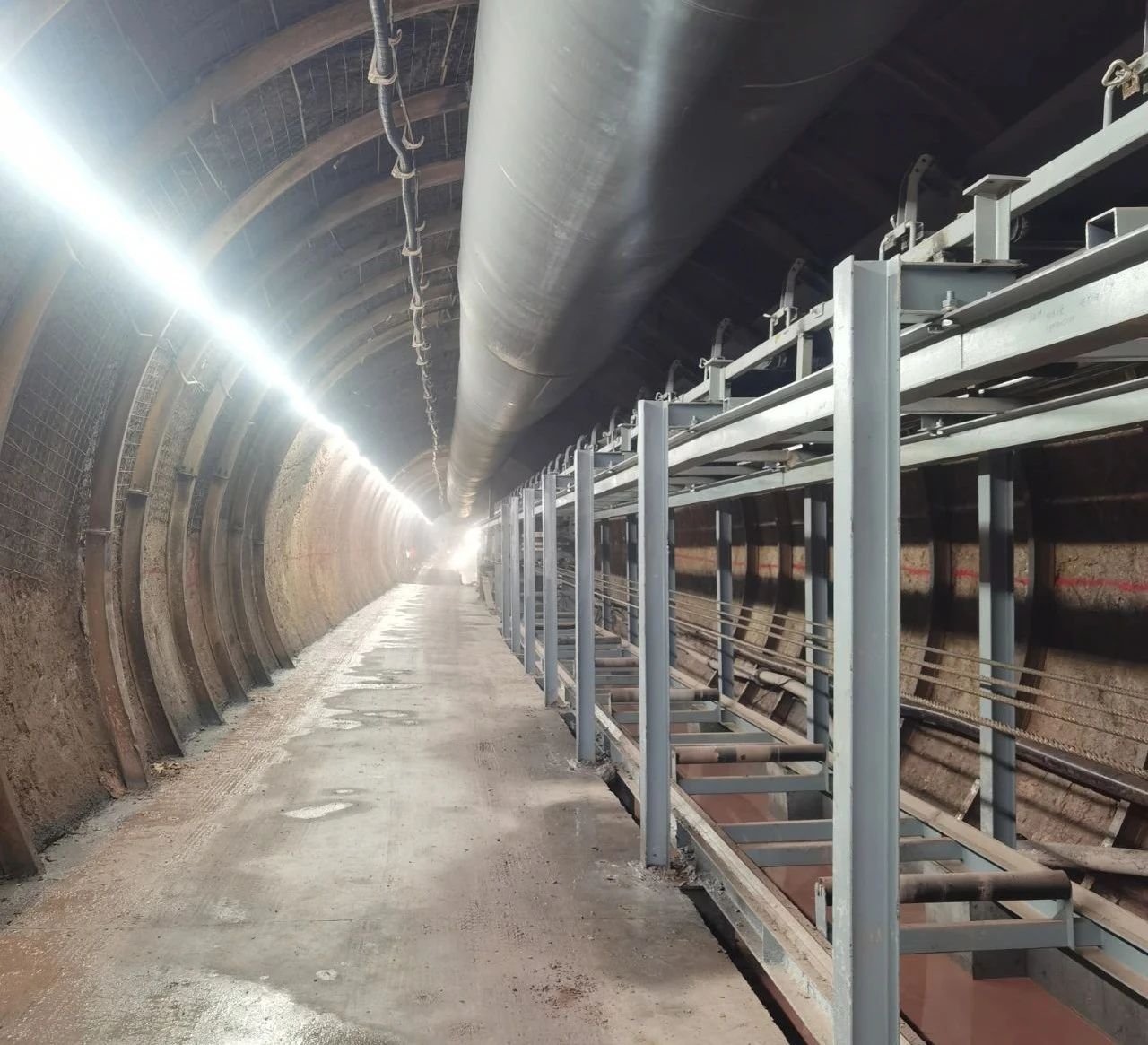 GA黄金甲·(中国区)官方网站