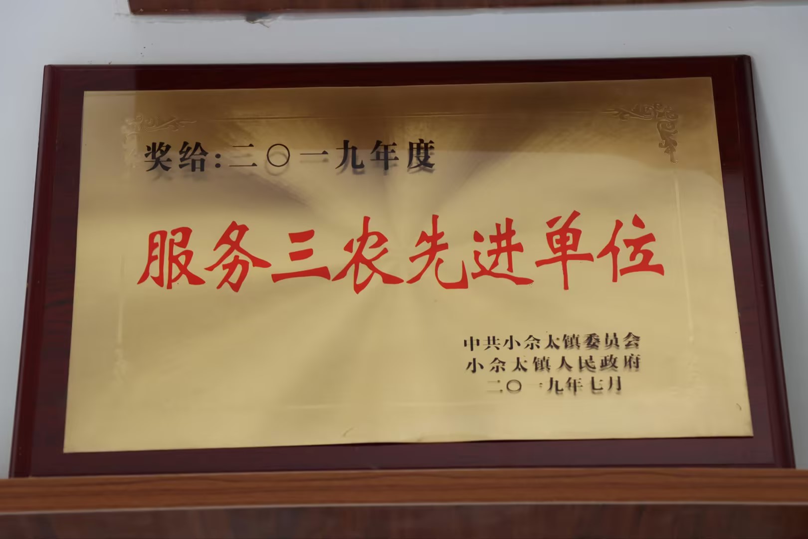 服务三农先进单元